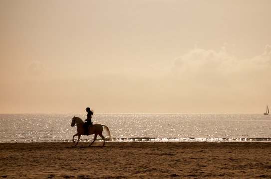 Horse riding silhouette at the beach