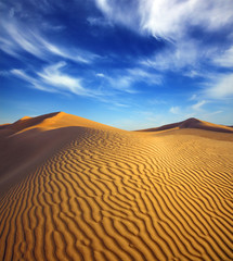 evening desert landscape