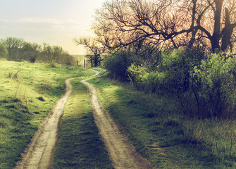 vintage road through fields with green grass and blue sky with