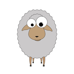 sheep