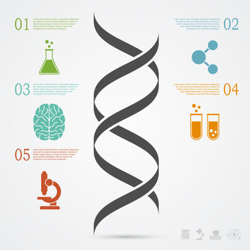 DNA Infographic