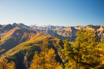 The colors of autumn in the Alps