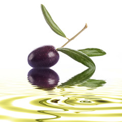 Aceituna negra sobre reflejos de aceite de oliva virgen extra