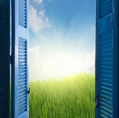 new beginings concept