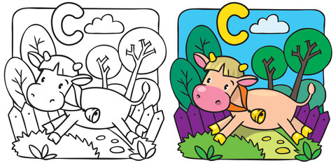 Obraz na płótnie Canvas Little cow or calf coloring book. Alphabet C