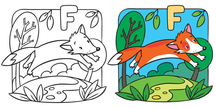 Little red fox coloring book. Alphabet F
