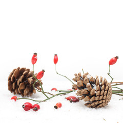 Winter background with red berries