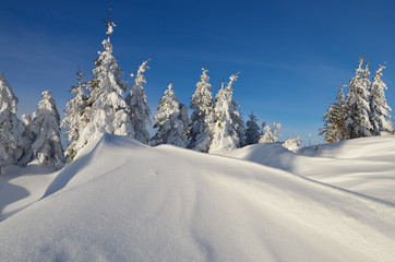 Fototapeta na wymiar Sunny winter landscape