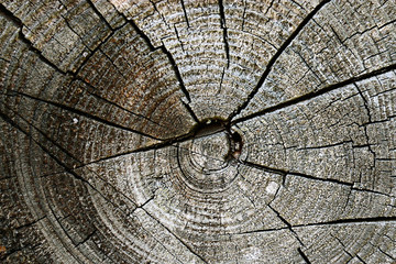 old wood texture background circle