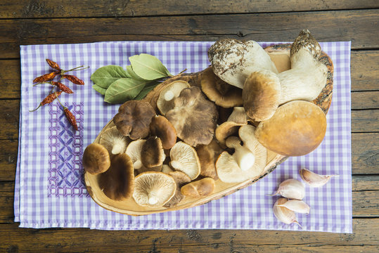 Variedad de setas e ingredientes y especias para su cocina 