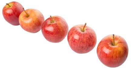 Royal gala apple on white background