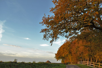 Herbstlicher Weidezaun mit bunten Bäumen
