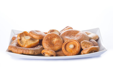Bandeja de níscalos o lactarius deliciosus aislado en blanco