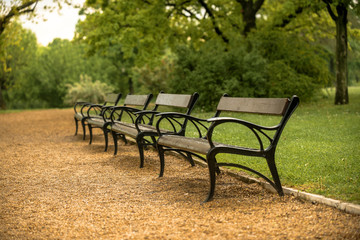 Stylish bench in autumn park