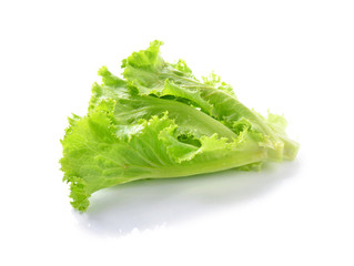 fresh  lettuce leaves isolated on white