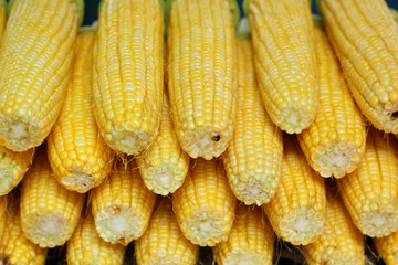 Sweet corn at the market