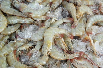 Fresh shrimp in the market