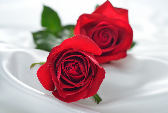 Red rose flowers on white cloth