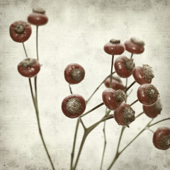 textured old paper background