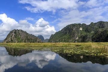 Fototapeta na wymiar Van Long-Ninh Binh Nature Reserve is a wetland