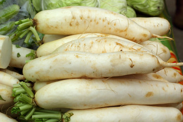 fresh radish in the market