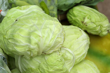Obraz premium Fresh cabbage in the market.