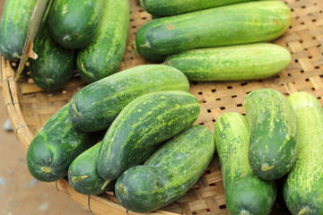 Fresh cucumber in the market