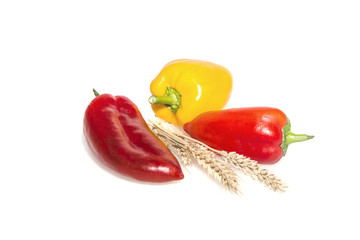 pepper and wheat ears  on a white background