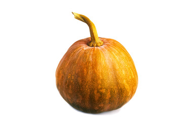 One big orange pumpkin on  white background