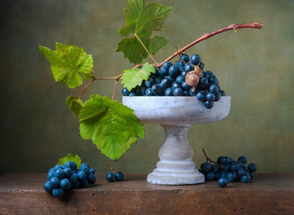 Still life with grapes in a vase and snail © Marta Teron