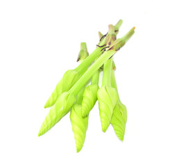 Moon flowers, vegetables with white background