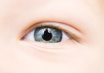Fototapeta premium baby eye