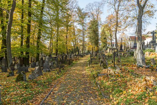road in old cemetery