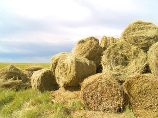 hay bales