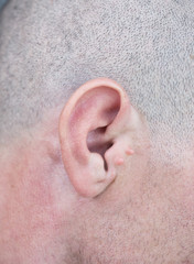 Fototapeta premium male ear