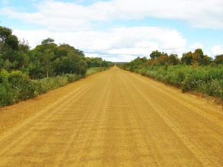 Unsealed road in perspective on Kangaroo island in Australia