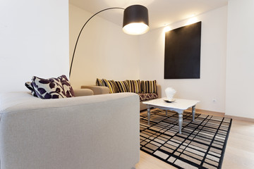 Modern living room interior 