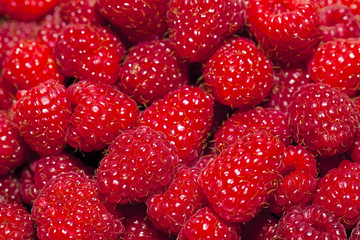  the gathered and piled raspberry. small depth of sharpness