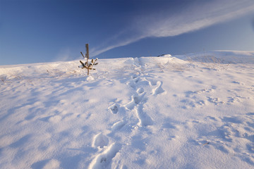 Naklejka na ściany i meble field covered with white snow in a winter season