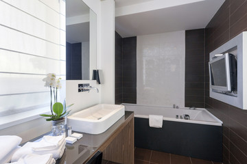 Luxury bathroom interior 