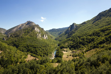   the mountains covered with various trees, other plants. Montenegro
