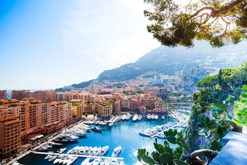 Tuinposter Marina in Monaco city © Sergey Novikov