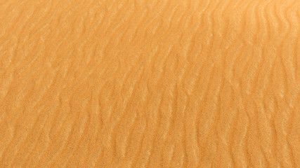 Photo of sand dune in the desert of United Arab Emirates
