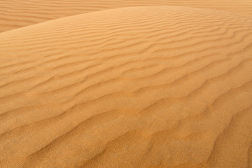 Photo of sand dune in the desert of United Arab Emirates