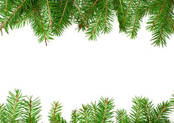 Christmas background with spruce branches