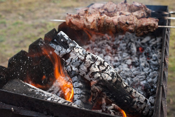slices of meat prepare on fire with smoke (shashlik)