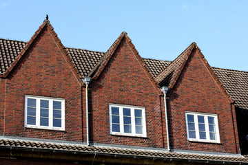 Fototapeta na wymiar roof of the house