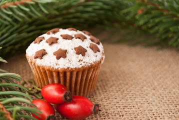 Winter cupcake