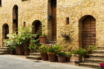Fototapeta na wymiar Doors and plants in an old town from Tuscany