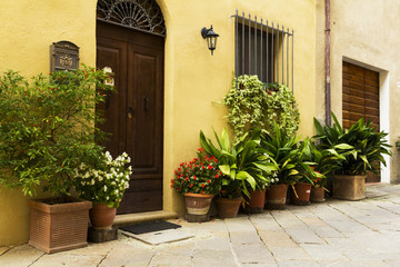 Fototapeta na wymiar Wall in an old town from Tuscany. Door and plants